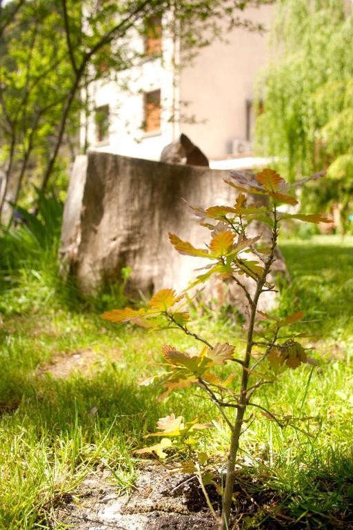 Hotel Badain Lafortunada Zewnętrze zdjęcie